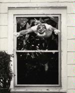 Stunts photo 1