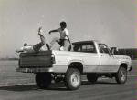 Stunts photo 1